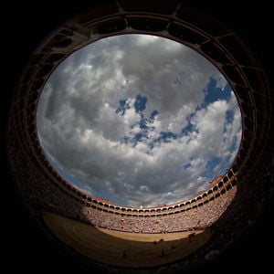 Profile picture for Plaza de Toros de Las Ventas