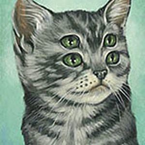 Profile picture for Sina Taherkhani