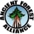 Ancient Forest Alliance