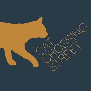 Profile picture for Cat Crossing Street Media