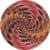 Hyphae