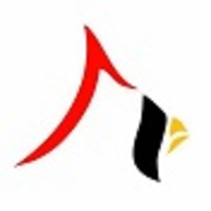 Profile picture for It's Cardinal
