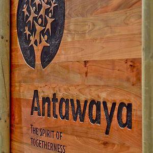 Profile picture for Antawaya