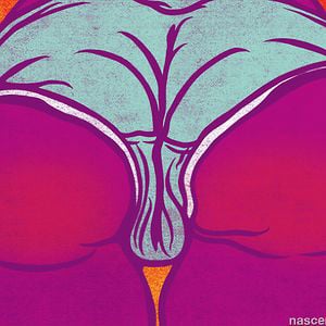 Profile picture for Freddie Freeloader