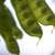 Tishman Environment and Design