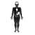 Anatomica Films