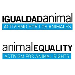 Profile picture for IgualdadAnimal | AnimalEquality