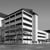 A&M Baylor College of Dentistry