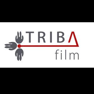 Profile picture for Triba Film