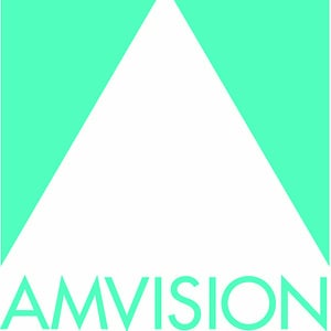 Profile picture for Amvision