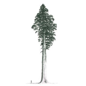 Profile picture for Ancient Giants