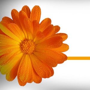 Profile picture for Momento Ambiental