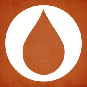 Profile picture for Blood:Water Mission