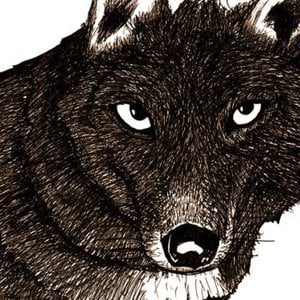 Profile picture for Tommy Awards