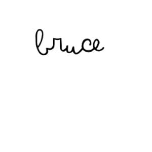 Profile picture for BRUCE