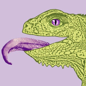 Profile picture for Cooper Miller