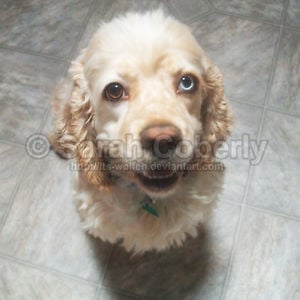 Profile picture for Sarah Coberly