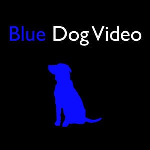 Profile picture for Daytona Video Production