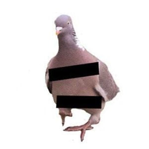 Profile picture for WIN WIN
