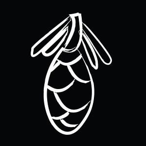 Profile picture for White Hemlock