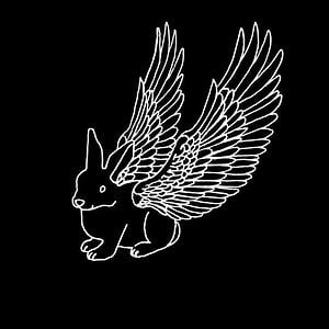 Profile picture for Les Passeurs Distraits
