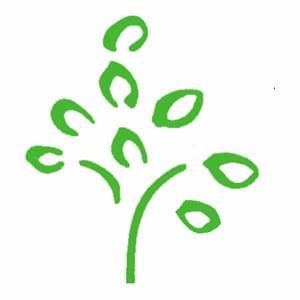 Profile picture for Kalliopeia Foundation