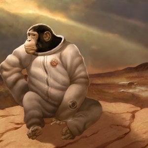 Profile picture for Monos Espaciales