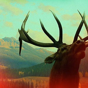 Profile picture for Paul W. Rankin