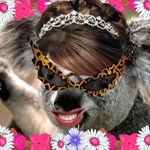 Profile picture for LPSareAWESOME