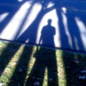 Profile picture for Shawn Davenport