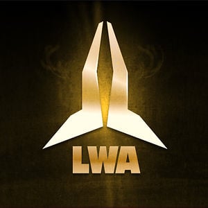 Profile picture for LWA Wakeboards