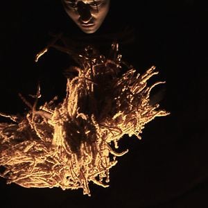 Profile picture for Shantala Pèpe