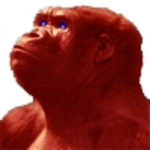 Profile picture for Stanislav Fridkin