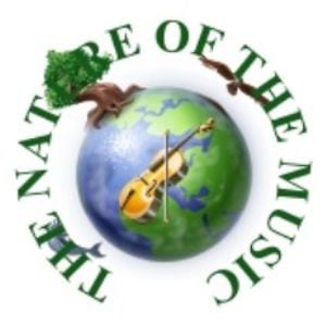Profile picture for THE NATURE OF THE MUSIC