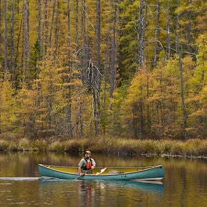 Profile picture for Swift Canoe & Kayak
