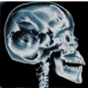 Profile picture for Brainchild Creative