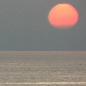 Profile picture for ChemTrailPetition