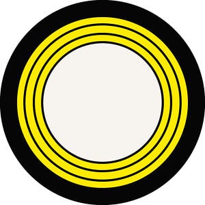 Profile picture for Dan Riesen