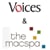 W+F Voices Film Festival