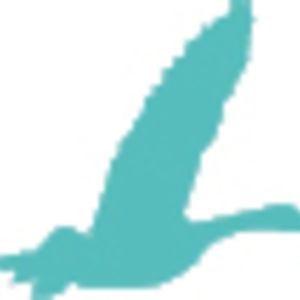 Profile picture for LeaderShape Videos