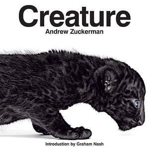 Profile picture for Andrew Zuckerman Studio