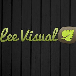 Profile picture for Lee Visual