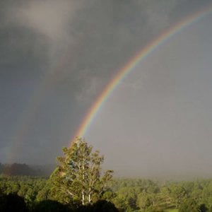Profile picture for Permaculture Cooperative