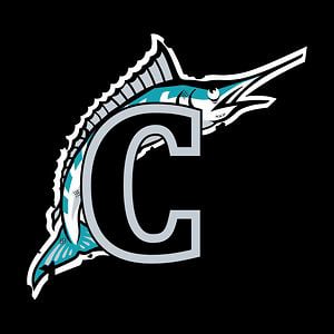 Profile picture for Cruizees Skateboarding