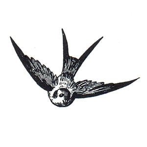 Profile picture for TRÆR