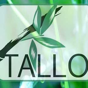 Profile picture for NICOLAS VALENTINI