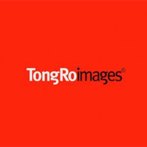 Profile picture for Tongroimages