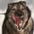 Kyle Hopkins (khopkins@adn.com)