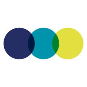 Profile picture for Evangelical Alliance