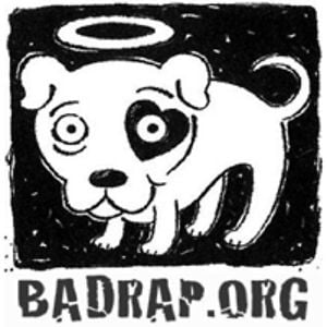 Profile picture for BADRAP.org
